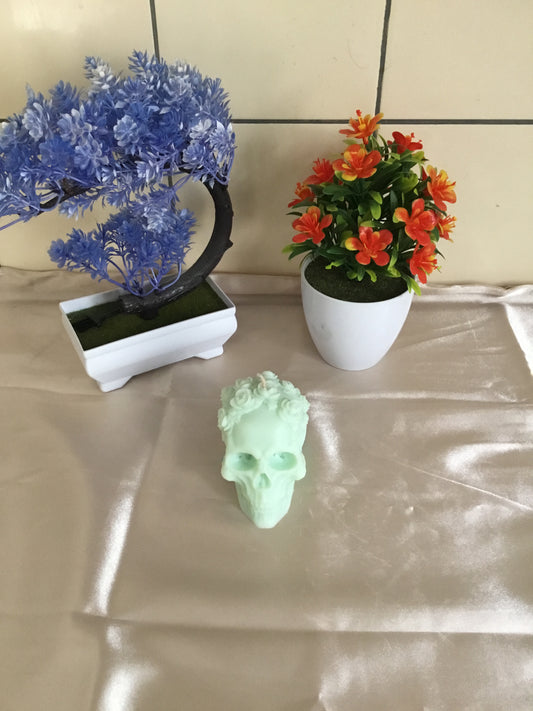 Skull Candle