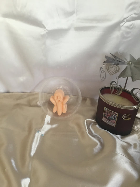 Wax melts